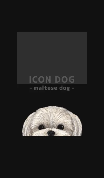 [LINE着せ替え] ICON DOG - マルチーズ - BLACK/02の画像1