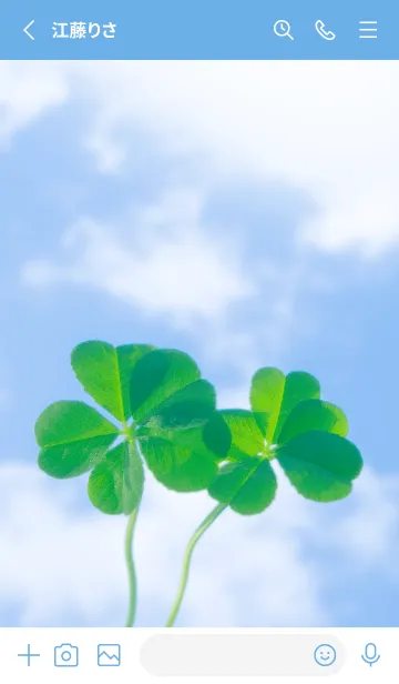 [LINE着せ替え] 五つ葉のクローバー Cuddle #14-5の画像2