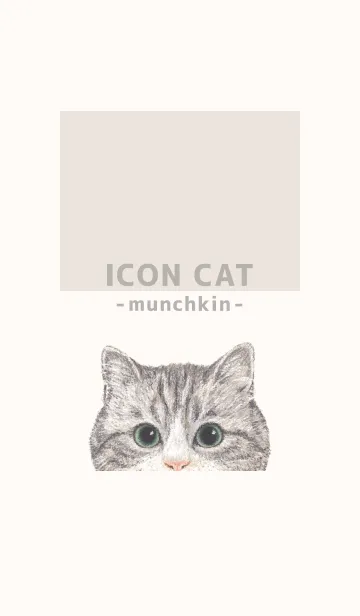 [LINE着せ替え] ICON CAT - マンチカン - BEIGE/02の画像1