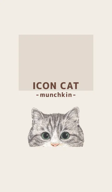 [LINE着せ替え] ICON CAT - マンチカン - BROWN/02の画像1