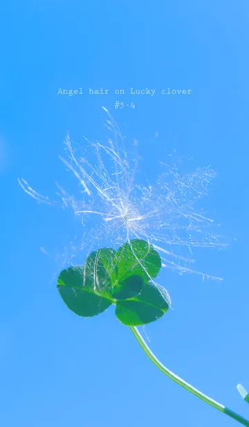 [LINE着せ替え] 幸運の妖精ケサランパサラン #5-4の画像1