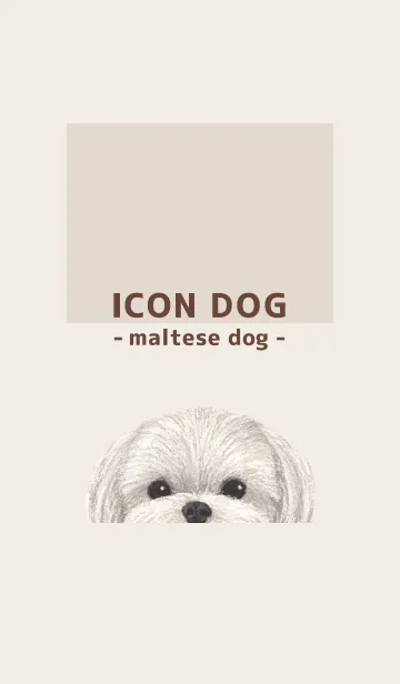 [LINE着せ替え] ICON DOG - マルチーズ - BROWN/02の画像1