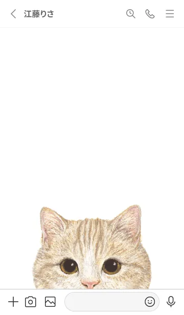 [LINE着せ替え] ICON CAT - マンチカン - GRAY/03の画像2