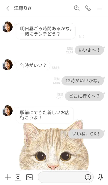 [LINE着せ替え] ICON CAT - マンチカン - GRAY/03の画像3