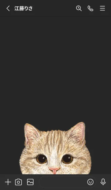 [LINE着せ替え] ICON CAT - マンチカン - BLACK/03の画像2