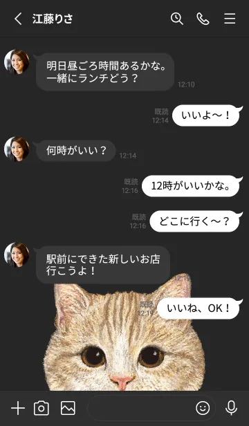 [LINE着せ替え] ICON CAT - マンチカン - BLACK/03の画像3