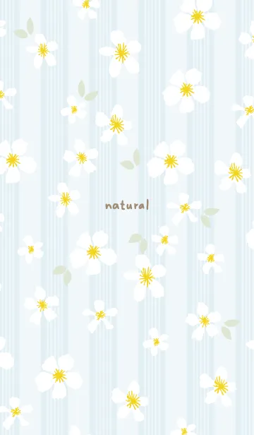 [LINE着せ替え] 白い花 大人カラー18の画像1