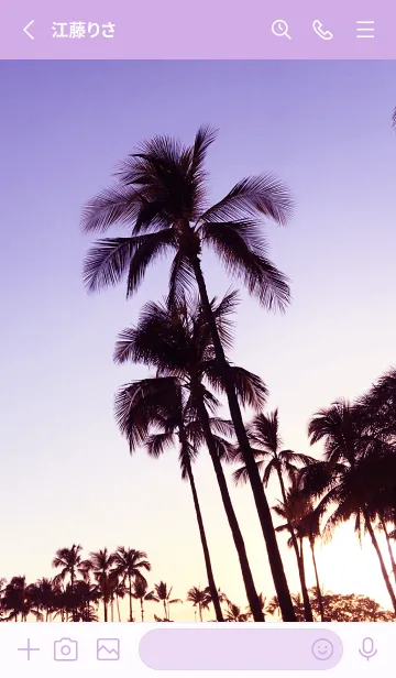 [LINE着せ替え] Palm trees and sunset 66の画像2