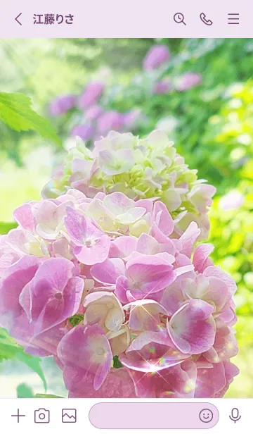 [LINE着せ替え] Fresh Hydrangeaの画像2