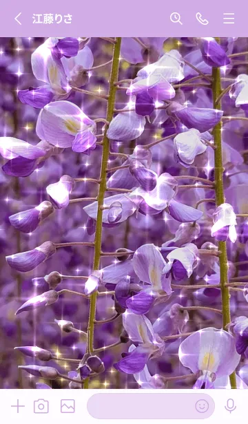 [LINE着せ替え] 眺めるだけで厄祓い✧高貴な紫藤の画像2