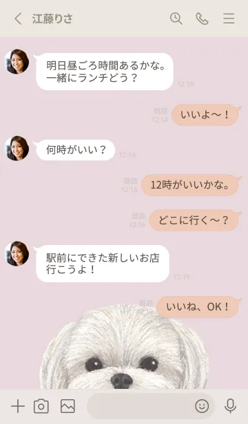 [LINE着せ替え] ICON DOG - マルチーズ - PASTEL PK/02の画像3