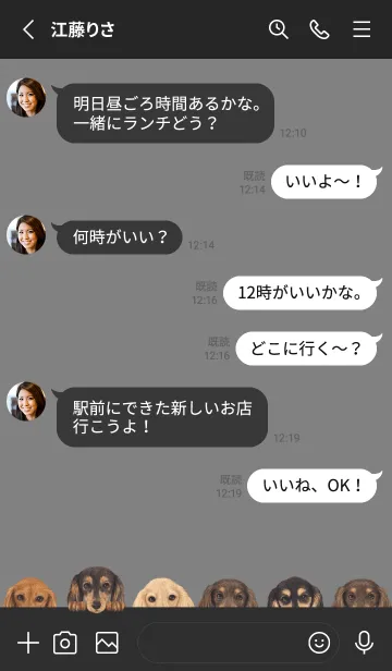 [LINE着せ替え] DOGS-ダックスフンド L-ブラック/グレーの画像3