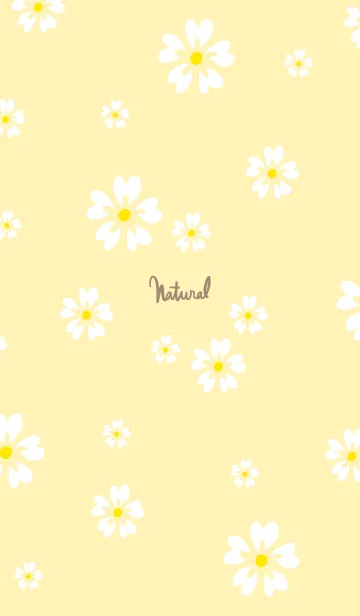 [LINE着せ替え] 5枚の白い花びら2の画像1