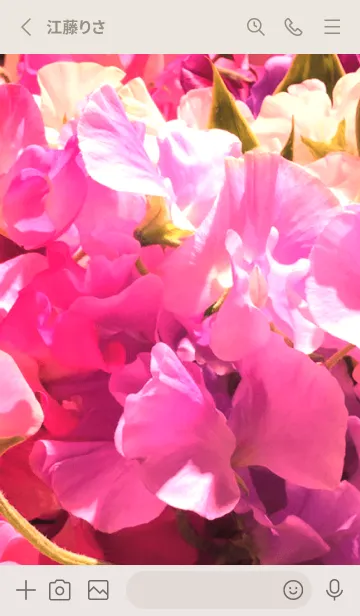 [LINE着せ替え] SWEET PEA-PINK 5の画像2