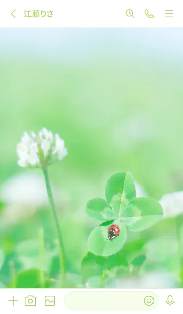 [LINE着せ替え] 四つ葉のクローバーとテントウムシ #7-7の画像2