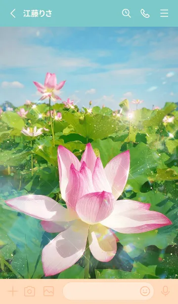 [LINE着せ替え] ++Lotus flower++の画像2