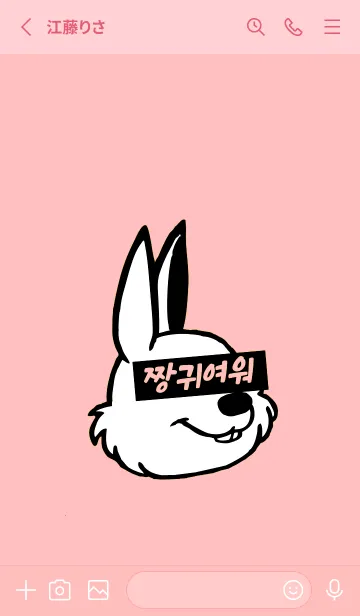 [LINE着せ替え] KOREA RABBIT THEME 46の画像2