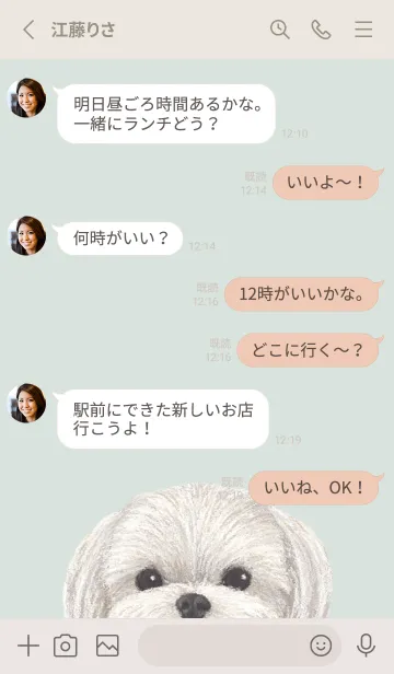 [LINE着せ替え] ICON DOG - マルチーズ - PASTEL GR/02の画像3