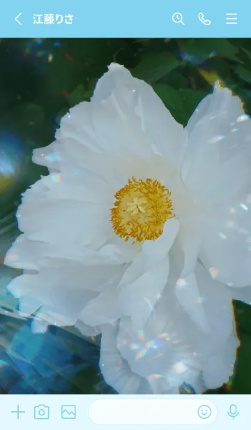 [LINE着せ替え] White Peonyの画像2