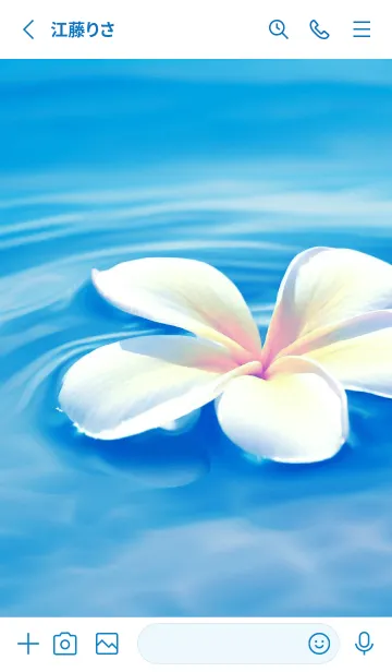 [LINE着せ替え] PLUMERIA-HAWAIIAN SEAの画像2