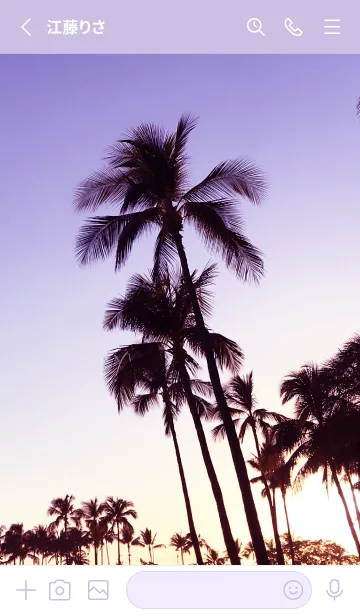 [LINE着せ替え] Palm trees and sunset 71の画像2