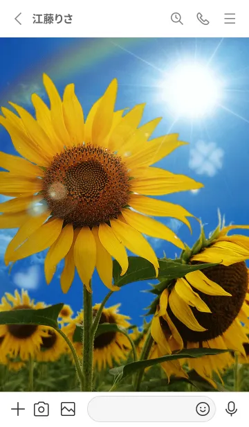 [LINE着せ替え] 夏♡運気上昇✨ ひまわりと青空の画像2