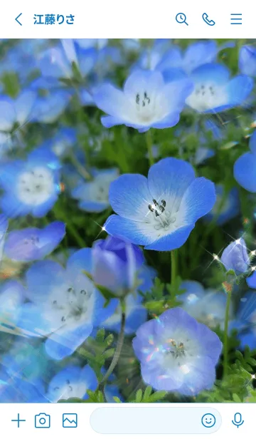 [LINE着せ替え] Nemophila Prismの画像2