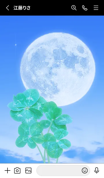 [LINE着せ替え] Real Lucky Clovers Full Moon #1-41の画像2