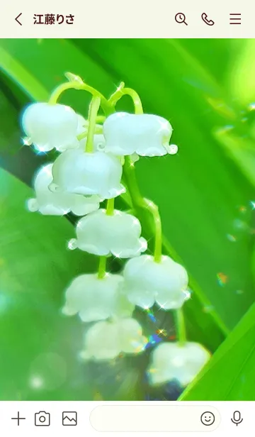 [LINE着せ替え] ++Lily of the valley++の画像2