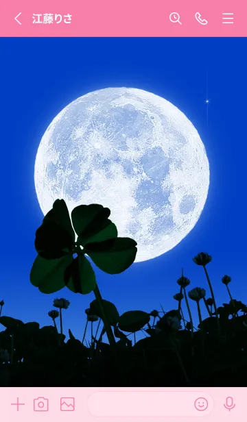 [LINE着せ替え] 七つ葉のクローバー & Full Moon #1-15の画像2