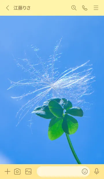 [LINE着せ替え] ケサランパサラン&七つ葉クローバー #5-3の画像2