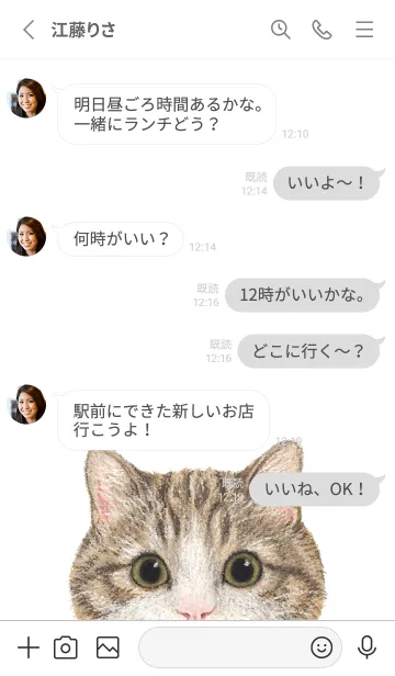 [LINE着せ替え] ICON CAT - マンチカン - GRAY/05の画像3