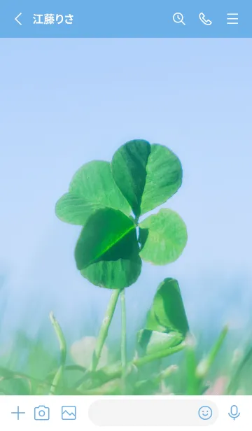 [LINE着せ替え] 四つ葉のクローバー Vintage Lens #21-7の画像2