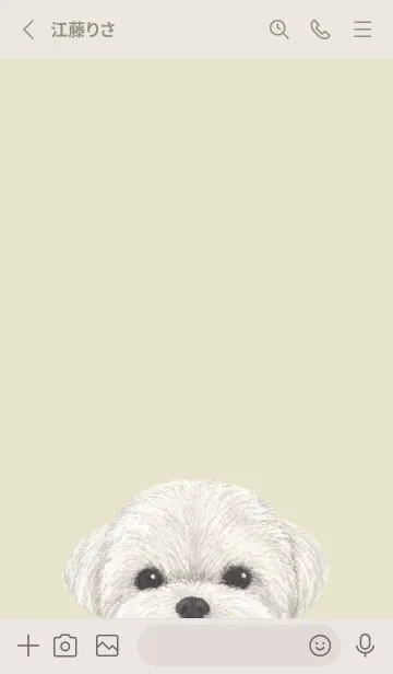[LINE着せ替え] ICON DOG - マルチーズ - PASTEL YE/03の画像2