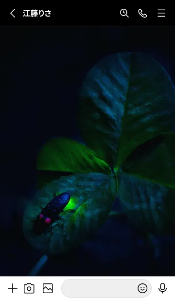 [LINE着せ替え] 蛍と四つ葉のクローバー #1-2の画像2