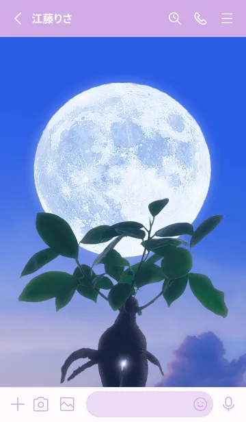[LINE着せ替え] 多幸の木と満月 #1-24の画像2