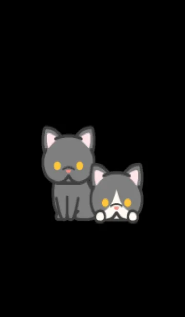 [LINE着せ替え] 黒猫＊ダークモード＊短頭種＊短毛の画像1