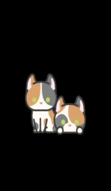 [LINE着せ替え] 三毛猫＊ダークモード＊カール＊短毛の画像1