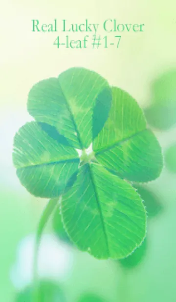 [LINE着せ替え] Real Lucky Clover 4-leaf #1-7の画像1
