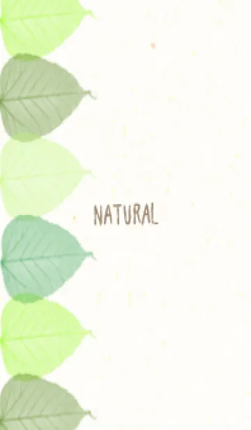 [LINE着せ替え] 葉脈 カラフル16の画像1