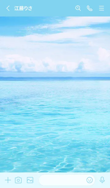 [LINE着せ替え] SEA WORLD-Hawaii 14の画像2