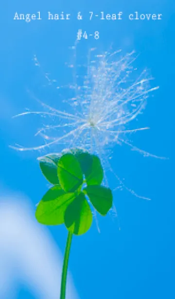 [LINE着せ替え] ケサランパサラン&七つ葉クローバー #4-8の画像1