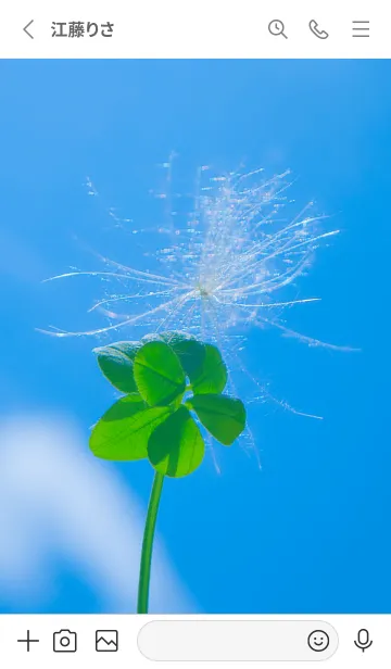 [LINE着せ替え] ケサランパサラン&七つ葉クローバー #4-8の画像2