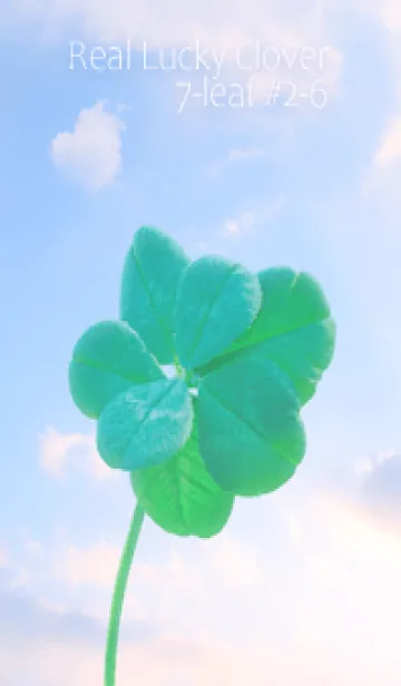 [LINE着せ替え] 本物ラッキークローバー 7-leaf #2-6の画像1