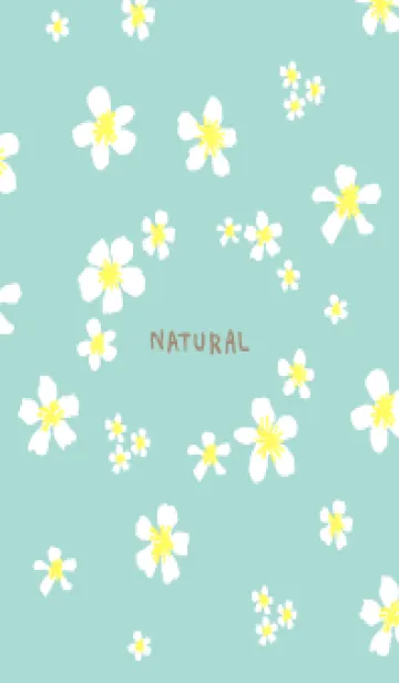 [LINE着せ替え] 白い小花が舞う6の画像1