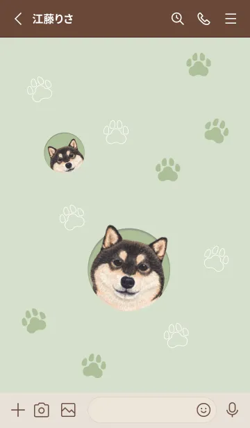 [LINE着せ替え] DOG - 柴犬 02 - GREENの画像2