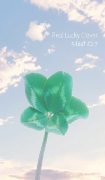 [LINE着せ替え] 本物ラッキークローバー 5-leaf #2-7の画像1