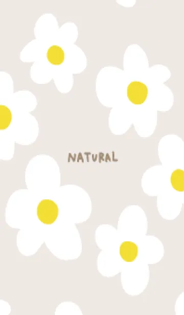 [LINE着せ替え] 白い花 おしゃれ11の画像1