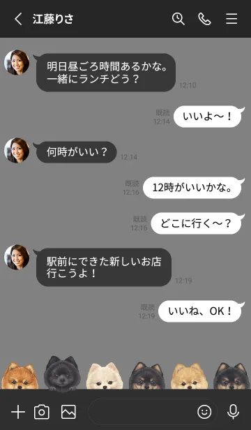 [LINE着せ替え] DOGS - ポメラニアン - ブラック/グレーの画像3