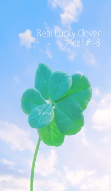 [LINE着せ替え] 本物ラッキークローバー 7-leaf #1-8の画像1
